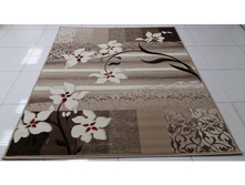 �������� ����,������