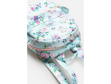 20206100068   Oriole          (      ).jpg