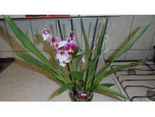 ���������..... ����� ��������� ������ ..)