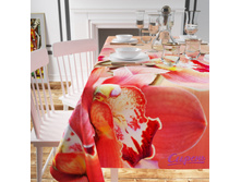 05240 "���� �������"