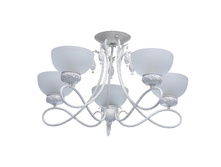 347018605 7400�.jpg