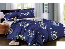 ���������� ����� ���� (�����)