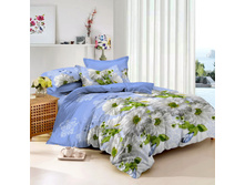 ������ ����� ���������� (536).jpg