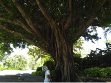 IMG 20170930 084945.jpg