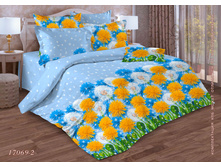 17069-2 ����������.jpg