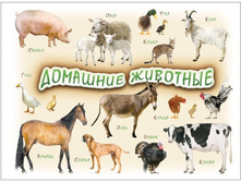 ���/�������: 824 �������� �������� 1-4 ���� (������) 196 ���.