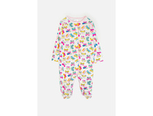 22254140042      .jpg