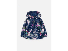 20220130132   Tanager        -     (   )-     .jpg