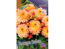 ������� ������� ����� (102.717 ���.)