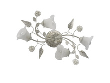 242014704 3600�.jpg