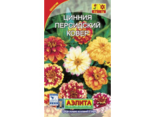 ����� ������.�����