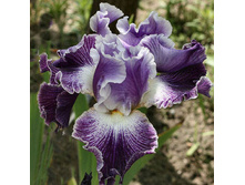 TELEPATHY ������ 03