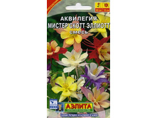 ��������� ������ �����