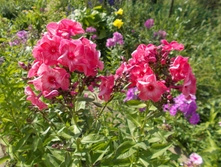 ��������� ����� *)