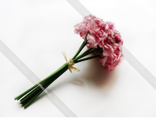 ����� ������� GVOZDIK-6-24-22-S.png