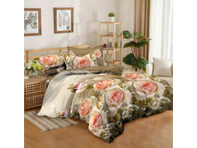 ������ ������ ���� (70043).jpg