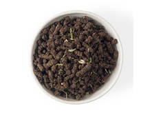 ����-��� Nectaria � ����� 50 �� 133,63 ���.