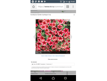 Screenshot 20180220-194703.png