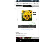 Screenshot 20180220-194057.png