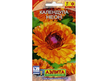 ��������� ����