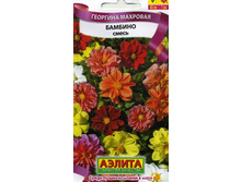 �������� �������