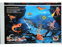 ����� ���������� ����. ������ � ����������1.jpg