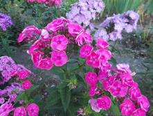 ���������� ���� *)