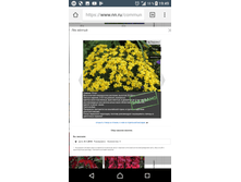 Screenshot 20180220-194909.png
