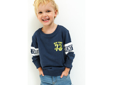 20120100120   Shark        -     .jpg