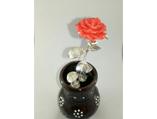 Img 1519064755122.jpg