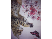 IMG 20180222 084747.jpg