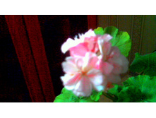 ���������� Morval