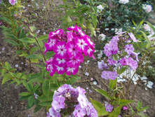 ������ ���*)