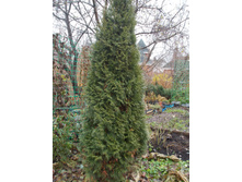 ��� �����. �������+)