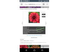 Screenshot 20180220-194236.png