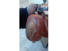 20180222 152502 resized.jpg