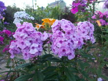 ������� ����� *)