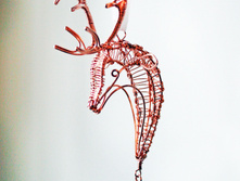 IMG 5078.JPG