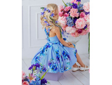 ���. ����