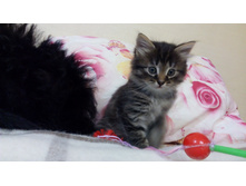 IMG 20180106 193030.jpg