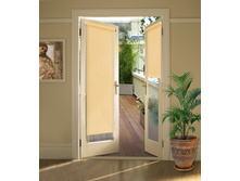 ��������� �� ��������� ����� �� �������.jpg