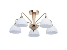 364014105 4500�.jpg