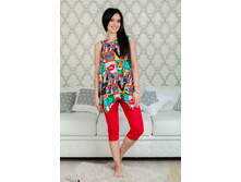 �71 �������� ������ (�������+���� � �����) 480 p