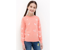 20210310065   Biscuit             (      ).jpg