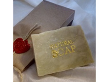 ���� �������� ����