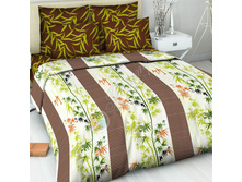 ��� ���� 308 -����.jpg