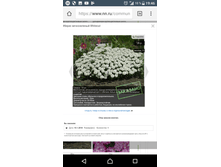Screenshot 20180220-194607.png