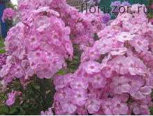 �������� ������