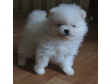 �.��� 007.JPG