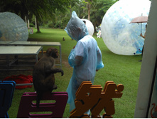 IMG 20170928 064628.jpg